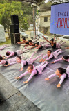 IMG_7445-copy