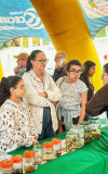 IMG_7466-copy