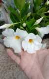WhatsApp-Image-2025-07-18-at-11.59.03-3