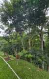 WhatsApp-Image-2025-04-04-at-17.28.14-2