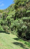 IMG-20240306-WA0012