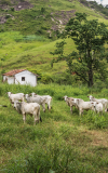 visitmadalena-14