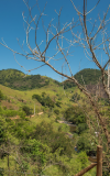 visitmadalena-6