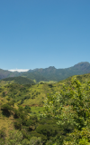 visitmadalena-7