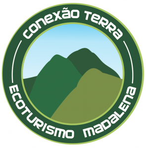 imagem 31